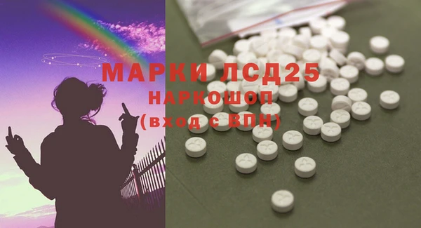 эйфоретик Покачи
