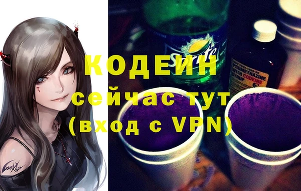 эйфоретик Покачи