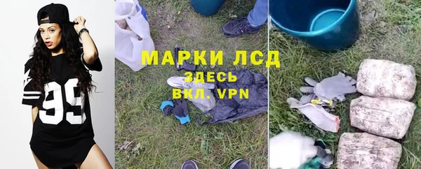 PSILOCYBIN Пестово