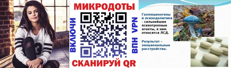 Псилоцибиновые грибы Cubensis  даркнет состав  Хилок 