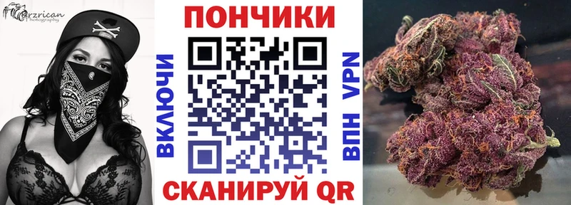 где купить   Хилок  Каннабис марихуана 